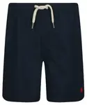 Пляжные шорты Regular fit Polo Ralph Lauren, синий - фото