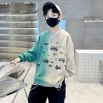 Детский свитшот с круглым вырезом Moderate EASTERN CAMEL, хаки - фото 11