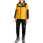 GS Брюки The North Face, черный - фото 4