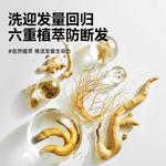 Мужской шампунь MAN TALE - фото 8