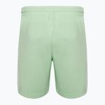 Мужские шорты Champion Legacy - фото 2