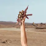 Q Парфюмированная вода 100мл Dolce&Gabbana - фото 6