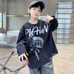 Детский свитшот с круглым вырезом Moderate EASTERN CAMEL, серый - фото 5