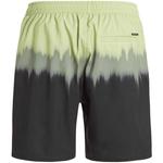 PROTEST Плавки шорты M PRTCAGNES BEACHSHORT - фото 2