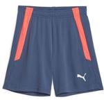 Обычные брюки PUMA teamLiga, синий - фото