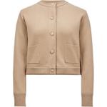 Panelled Button-Up Jacket Moncler, коричневый - фото