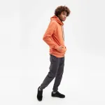 Брюки Hydroponic Trailer srg, серый - фото 8