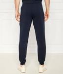 Штаны спортивные Ea7 Regular Fit с карманами, синий - фото 4