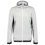 Куртка Icepeak Dolliver, серый - фото