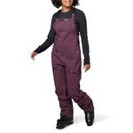 Горнолыжные брюки Flylow Foxy, цвет Galaxy - фото 2