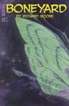 Boneyard #25 (NBM) (NBM) - фото