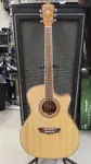 Washburn WG7SCE-A Новый Natural - фото