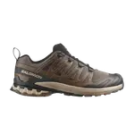 Кроссовки Salomon XA Pro 3D V9, Falcon - фото