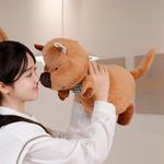 Плюшевая кукла короткохвостый кенгуру шарф Tranquility and elegance - фото 4