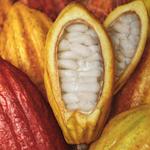 Крем для рук Ekos Cacau Natura - фото 4