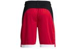 Шорты baseline 10 inch shorts 'red black' Under Armour, красный - фото 2