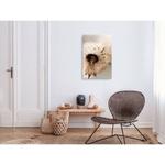 Фреска Artgeist Summer Blast, коричневый - фото 2