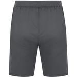 Шорты тренировочные шорты универсальные Jako, цвет anthra light - фото 3