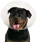 Быстроразъемный пластиковый ошейник елизаветинской эпохи KVP Kong XXL KVP - фото 2