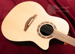 Ovation USA Pro Series Legend 1767-4S - фото 6