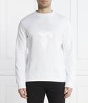 Толстовка мужская Karl Lagerfeld с принтом, белый - фото