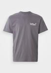 Футболка Carhartt WIP WIPTOPIA SCRIPT, Porphyry/Wax/Grey - фото 5