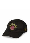 Бейсболка Grimey ROYAL PAW CURVED VISOR STRAPBACK, Black - фото