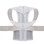 Продукты для коррекции осанки Sheng Kun - фото 4