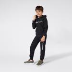 Champion Authentic Athletic Apparel Толстовка в черном цвете - фото 3