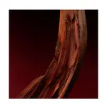 Духи Boss Scent Elixir Hugo Boss - фото 6