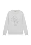Джемпер Guess LOGO STRASS, Grau/Grey - фото