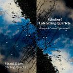CD диск Schubert / Fitzwilliam String Quartet: Late String Quartets - фото