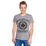 Футболка Roleplay Academy серая - фото