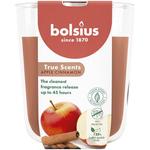 Ароматизатор 97/85 True Scents Яблоко Корица Bolsius - фото