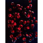 Томми Хилфигер Импакт 100 мл Tommy Hilfiger - фото 3