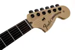 Fender Jim Root Stratocaster EB - матовый черный - фото 12