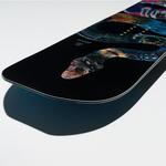 Сноуборд T. Rice Pro Lib-Tech - фото 3