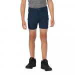 Спортивные шорты Regatta Highton Junior Walking, синий - фото