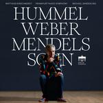 CD диск Hummel / Kirschnereit / Sanderling: Orchestral Works - фото