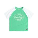 Футболка для детей 3-7 лет Dickies, белый/мокачино - фото 8