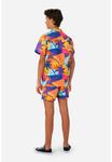 Шорты SET PALM POWER OppoSuits, цвет multicoloured - фото 3