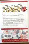 The Flash Chronicles 2 (DC Comics) - фото 4