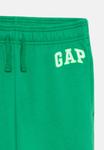 Спортивные штаны JUNE LOGO BOYS GAP, зеленый - фото 3