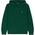 Polo Ralph Lauren Детская зеленая толстовка - фото