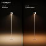 Nuindie Светодиодный торшер на аккумуляторе, напольный торшер IP54, высота 120 см, золотой SIGOR - фото 4