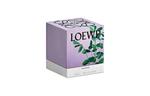 Ароматическая свеча LOEWE, 170g - фото 4