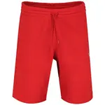 Спортивные шорты Reebok Identity Small Logo, красный - фото