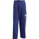 Collegiate Pant Adidas, темно синий - фото