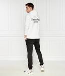 Толстовка Tommy Jeans ENTRY Regular Fit, белый - фото 2