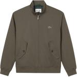 LACOSTE Хлопковая бомбер-куртка, ZBC/Green Brown - фото